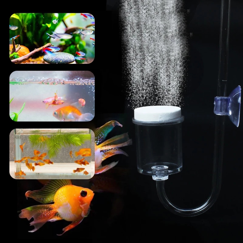 Set da 4 pezzi diffusore di CO - Aquarium Plant In Pot recensione e prezzo